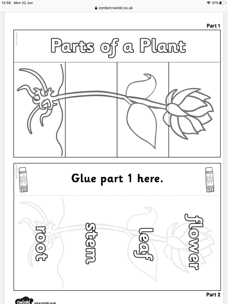 Parts of a Plant (1)