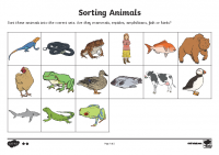 Sorting Animals into Sets Middle Ability