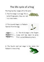 The life cycle of a frog